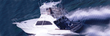 instigator_boat.gif